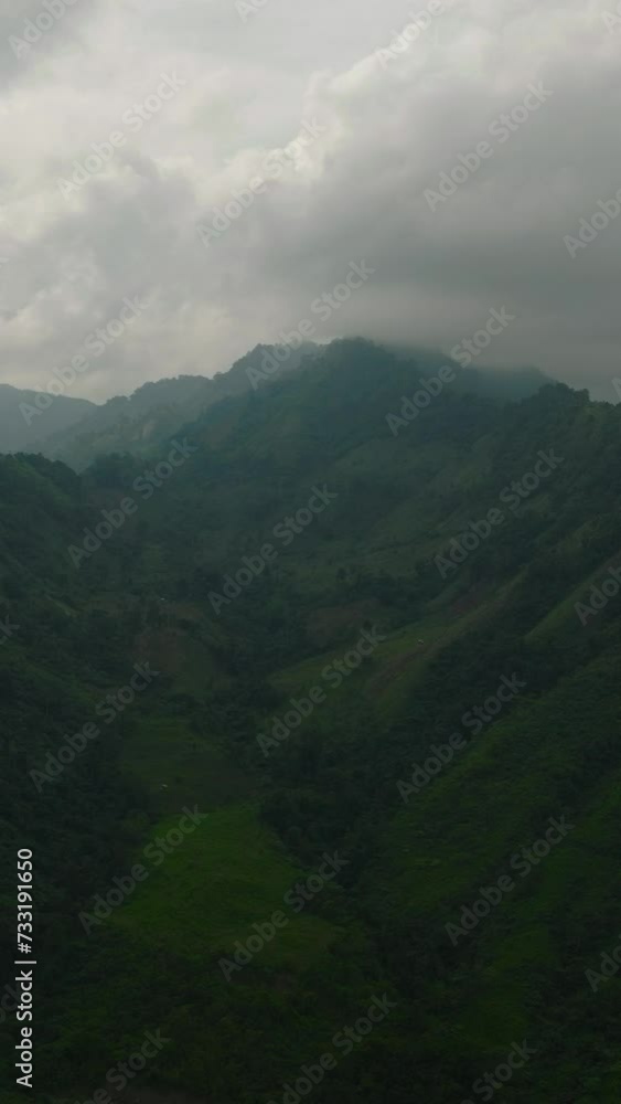Green foliage, tropical plants and trees covers mountains and ravine. Mindanao, Philippines. Vertical view. Green foliage, tropical plants and trees covers mountains and ravine. Mindanao, Philippines. Vertical view.