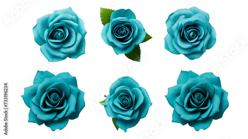 Teal Roses and Floral Elements Isolated on Transparent Background for Stunning Garden Designs and Perfume Advertisements - Vibrant 3D Botanical Art in PNG Format, Ideal for Romantic Creations 