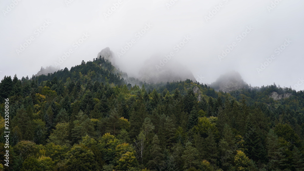 September Pieniny, Three Crowns slope in mist, autumn