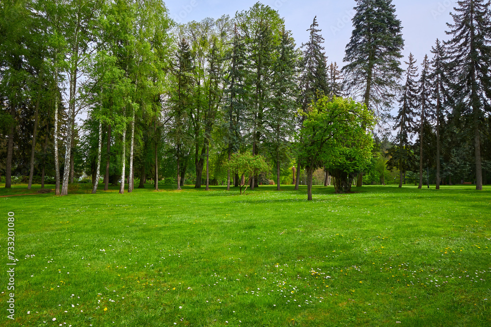 Scenic view of a beautiful landscape garden with a freshly mowed grass lawn Scenic view of a beautiful landscape garden with a freshly mowed grass lawn