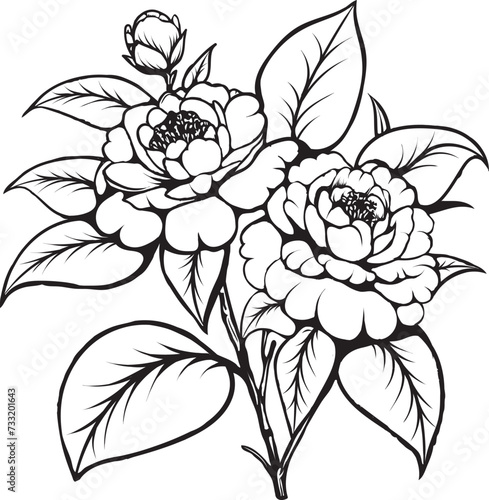 Camellia flower Line art vector illustration suitable for floral designs  botanical prints  themed graphics nature inspired. Vibrant and versatile graphic for various visual and creative purposes