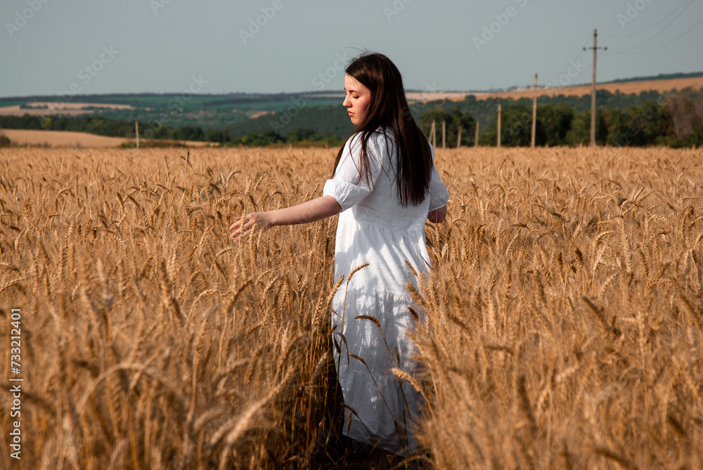 A serene woman in a white dress wanders through a golden wheat field, gently touching the wheat stalks A serene woman in a white dress wanders through a golden wheat field, gently touching the wheat stalks