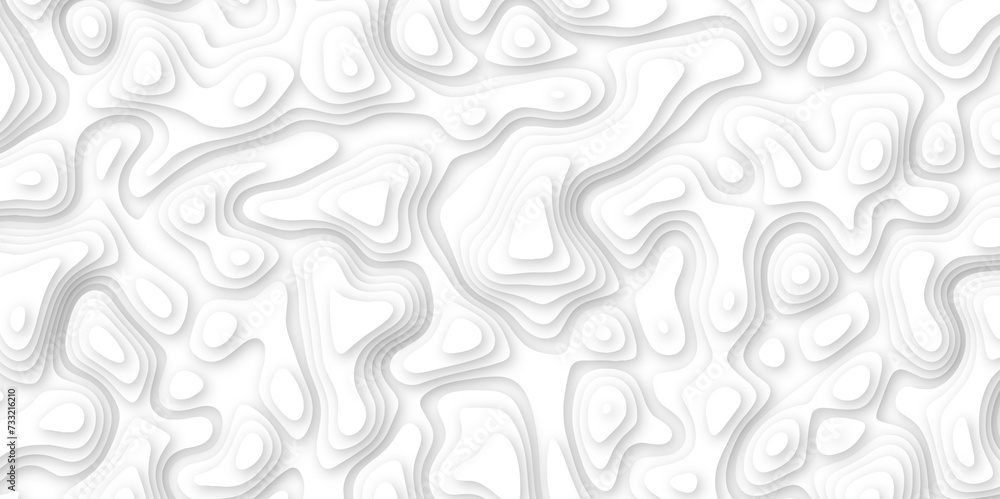 Abstract geometric layered curve line white background. 3d white papercut topography relief. Cover layout template. paper cut topography soft background banner texture. light liquid wave illustration. Abstract geometric layered curve line white background. 3d white papercut topography relief. Cover layout template. paper cut topography soft background banner texture. light liquid wave illustration.