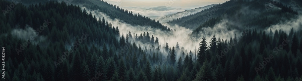Foggy forest with towering trees, misty mountains in the background. Serene woodland scenery, nature background for website header with copy space. Generative AI