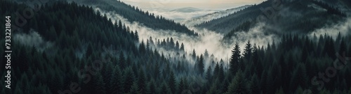 Foggy forest with towering trees, misty mountains in the background. Serene woodland scenery, nature background for website header with copy space. Generative AI