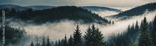 Mist-covered forest with tall trees and mountainous backdrop. Wilderness landscape  foggy woodland  outdoor nature scene for website header with copy space. Generative AI