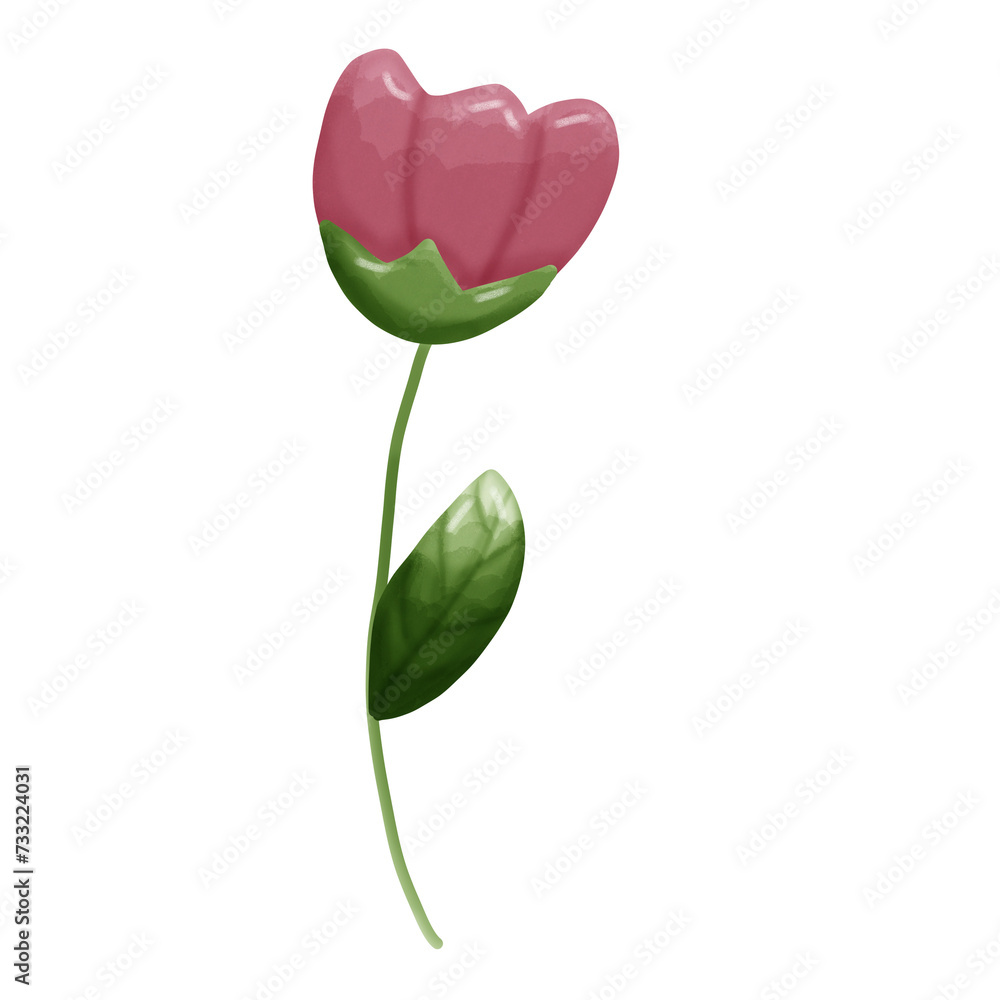 pink tulip pink tulip