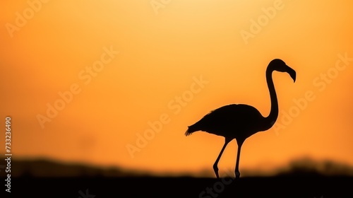 Silhouette of flamingo on sunset sky.