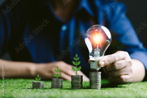 Financial business growth sustainable energy concept. Finance sustainable development. Investing in renewable energy. Showing financial developments and business growth with growing tree on coin.