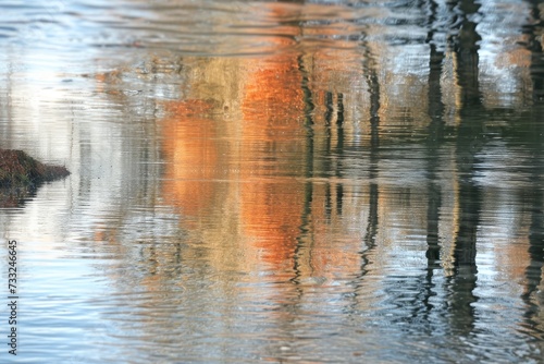 Mirrored River