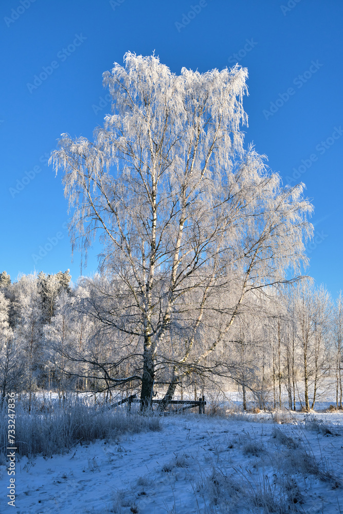 Fototapeta premium Beautiful colorful autumn landscape in Skaraborg Sweden