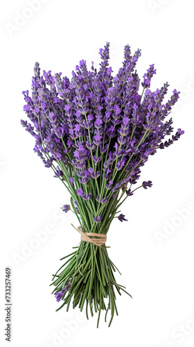 A Bunch Of Lavenders