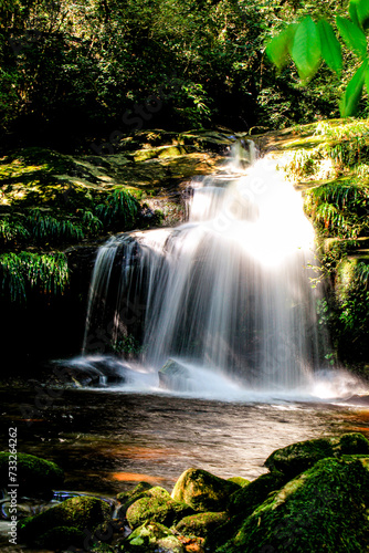 Waterfall in the forest - cachoeira