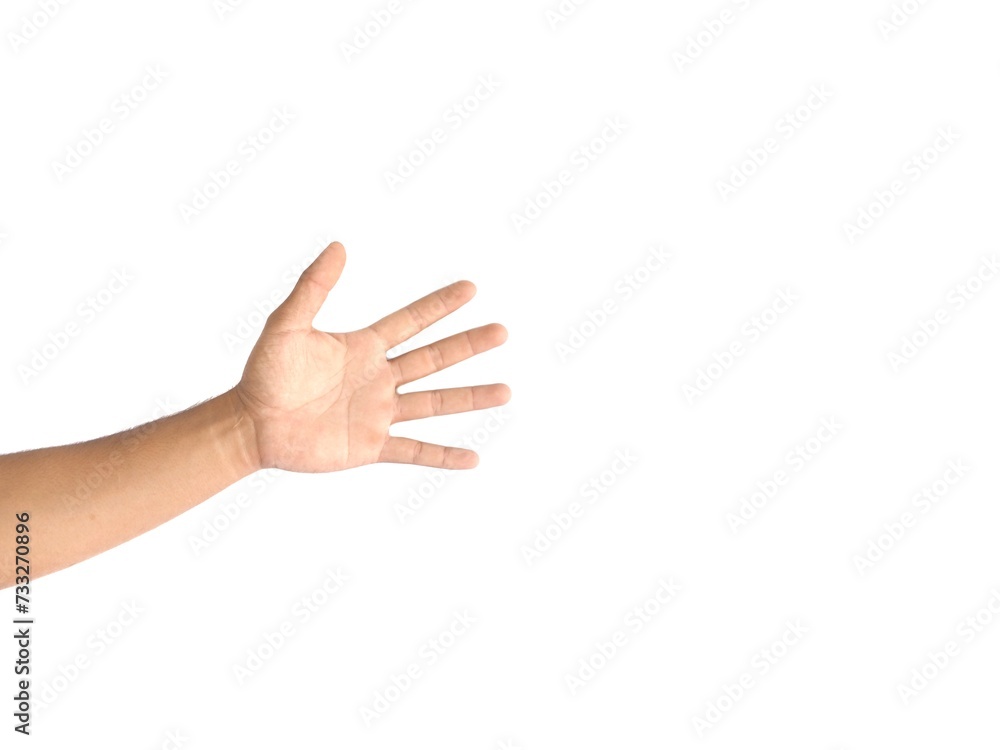 A man's open hand raised from below. Empty, nothing, isolated on white background.