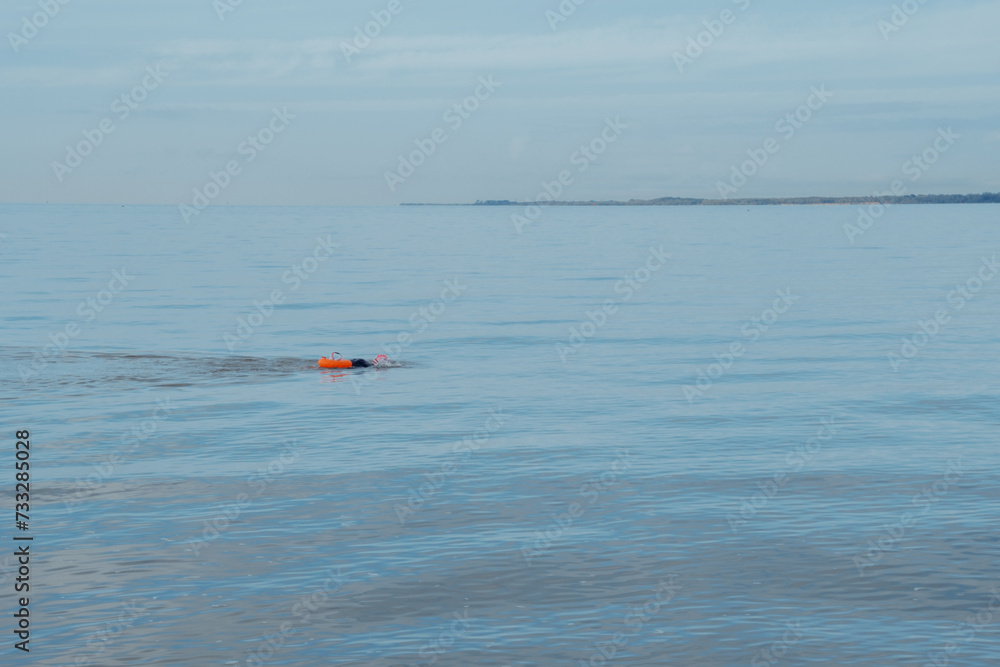 Fototapeta premium Open water swimmers in the ocean along the English Coast.