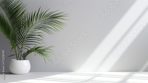 Scandinavian minimalistic home light white interior with green plant © Rafa Fernandez