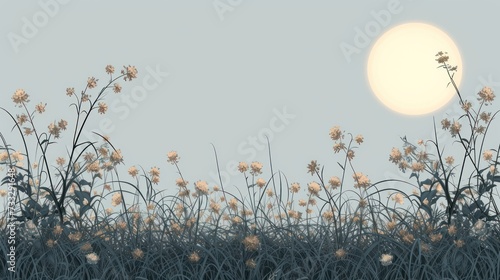 the sun shines brightly over a field of wildflowers in the foreground  with tall grass in the foreground  and tall grasses in the foreground.