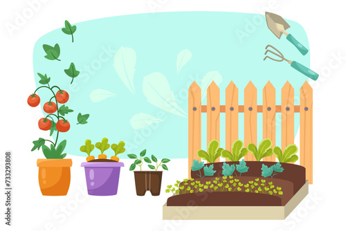 Vegetable patch with shovel and rake vector illustration. Tomatoes, carrots seedlings in pots. Springtime gardening concept