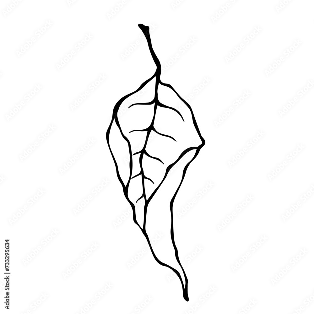 Linear sketch, doodles of a dry autumn lith. Vector graphics. Linear sketch, doodles of a dry autumn lith. Vector graphics.