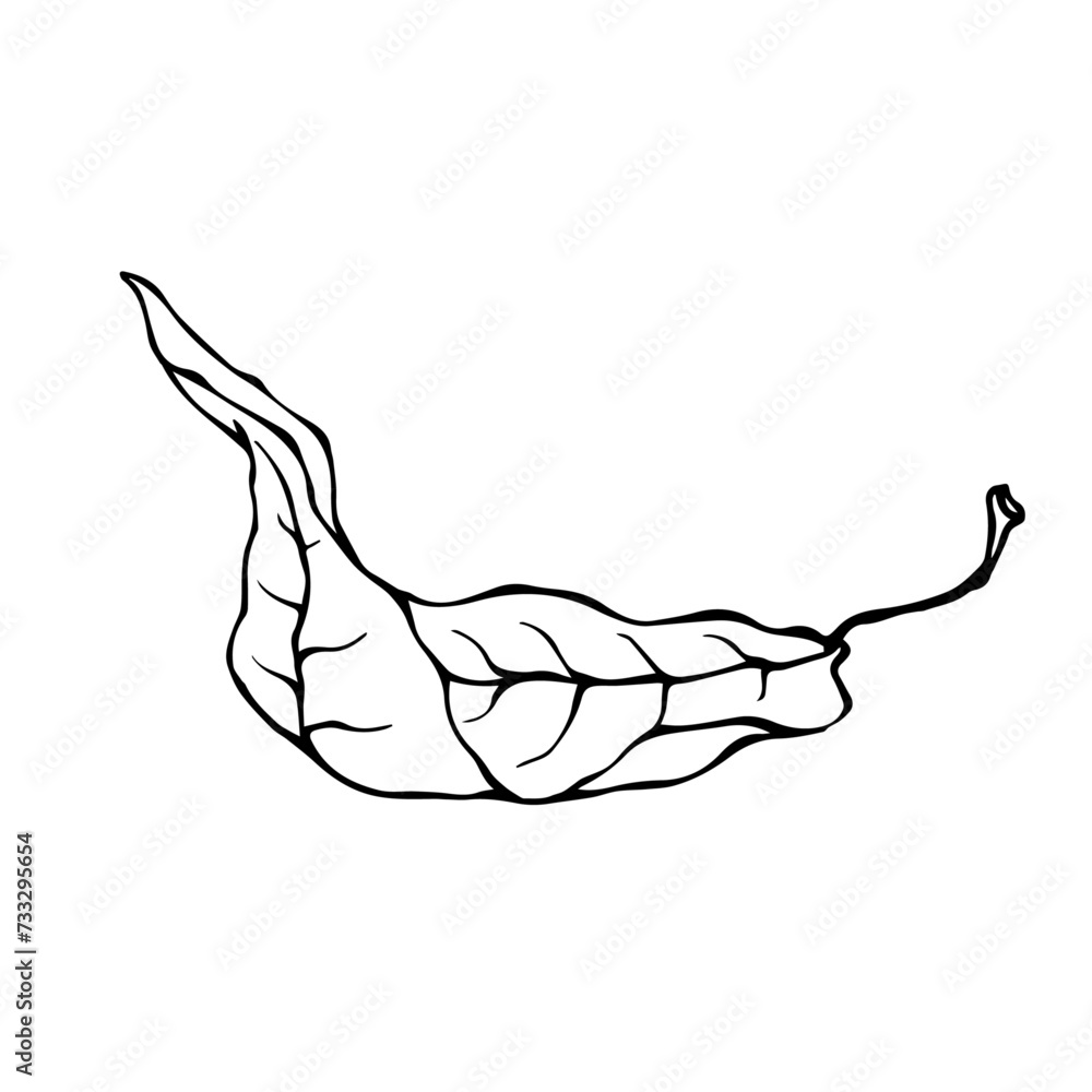 Linear sketch, doodles of a dry autumn lith. Vector graphics. Linear sketch, doodles of a dry autumn lith. Vector graphics.
