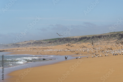 View of the coast of Atlantic ocean at El Beddouza in Morocco © framedventures