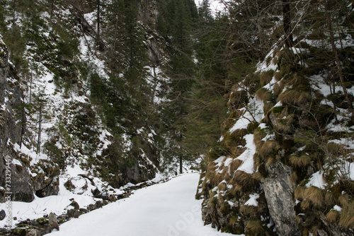 Tatry, szlak do doliny Kościeliska w zimie