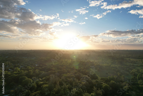 Green jungle with orange color sunset