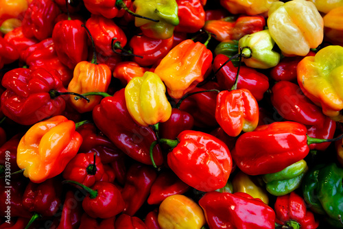 Fotografía Colorful paprika or pepper chili background.