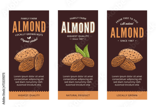 Vector almond labels in modern style. Vector almond nut illustrations
