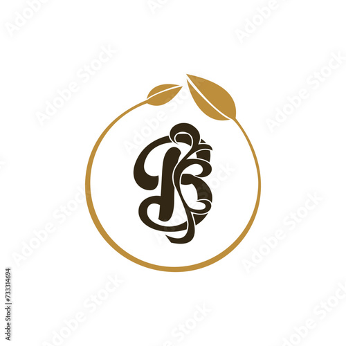 LUXURY LETTER LOGO WITH BROWN FRAME DESIGN