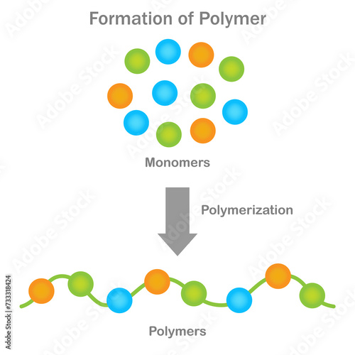 Photography Polymer formation, Monomers unite through polymerization, yielding versatile pol