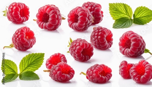 A row of red raspberries with green leaves