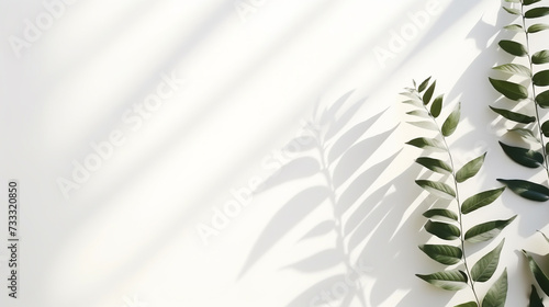 Blurred shadow of plant leaves on the white wall background