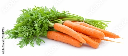 Vibrant Carrot Tops on Isolated White Background, Carrot Tops on Isolated White Background, Carrot Tops on Isolated White Background - Fresh and Crisp