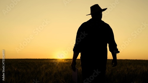 Silhouette Farmer walking with tablet in wheat field at sunset. Farmer works with digital tablet examines harvest of wheat in wheat field. Senior farmer analyzes grain harvest. Agricultural business photo
