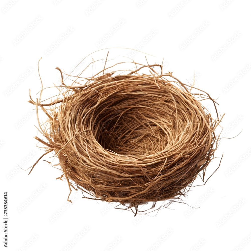 Empty bird Nest. Isolated on a Transparent Background. Empty bird Nest. Isolated on a Transparent Background.