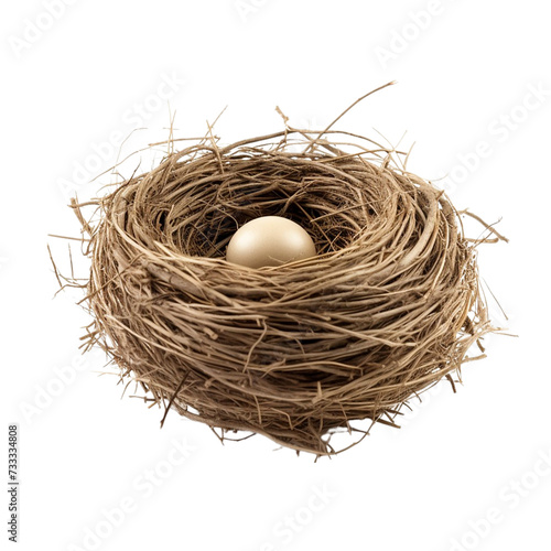 Bird Nest With Egg. Isolated on a Transparent Background.