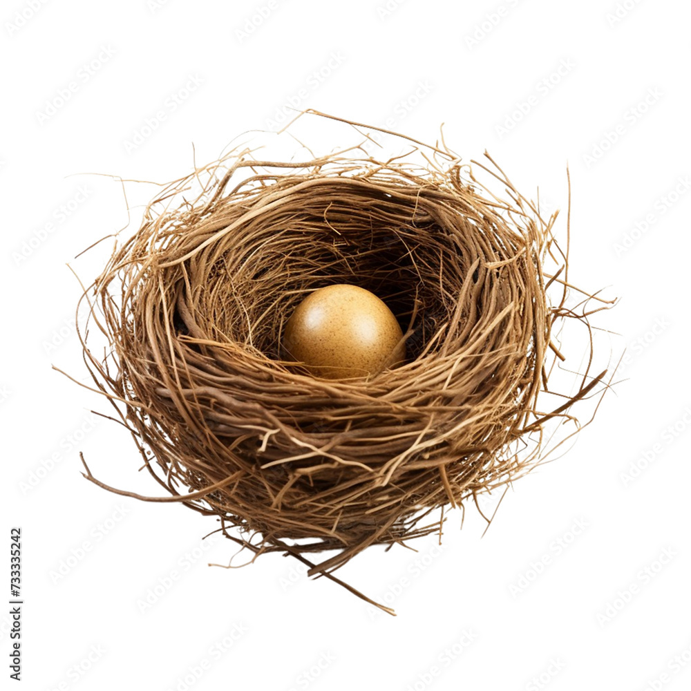 Bird Nest With Egg. Isolated on a Transparent Background. Bird Nest With Egg. Isolated on a Transparent Background.