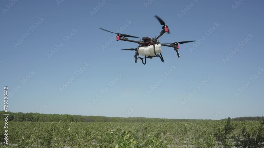 Agrodron treats fields with insect repellant from the air. Sprayers Agrodrone live. Quadcopter flight over the field, help in fertilizer, pesticides. Agrodron treats fields with insect repellant from the air. Sprayers Agrodrone live. Quadcopter flight over the field, help in fertilizer, pesticides.