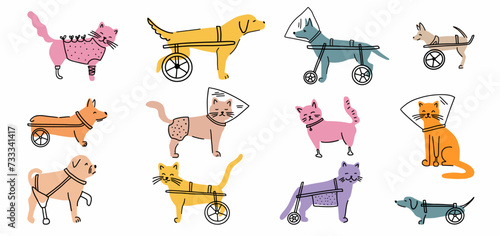 Vector drawing of a collection of various cats and dogs with disabilities with prosthetics, hand-drawn in the style of doodles.
