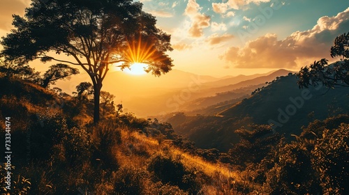 The image captures a breathtaking landscape scene during sunset. A radiant sun is seen low in the sky, partially obscured by the silhouette of a large tree. Its glowing light casts a warm, golden hue 