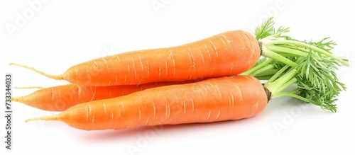 White background with isolated fresh and sweet carrot