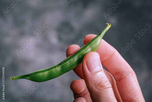Hand holding green bean isolated with copy space  healthy food