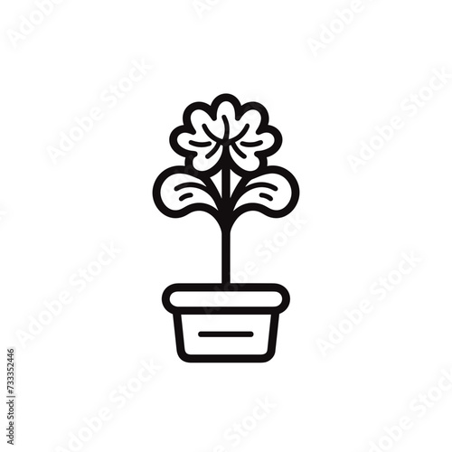 Azalea plant flower in a pot  vector illustration isolated transparent background, cut out or cutout t-shirt design