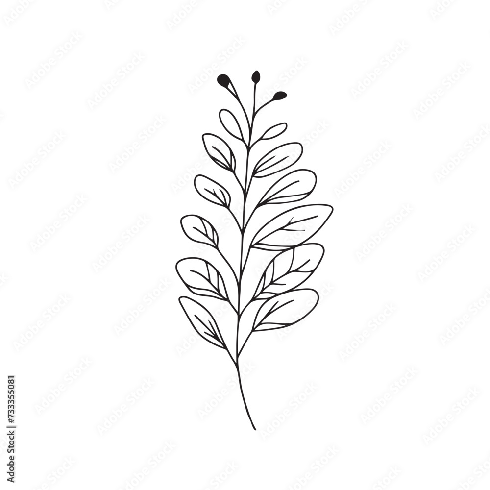Elegant line drawing of a floral leaf. Illustration for invites and cards Elegant line drawing of a floral leaf. Illustration for invites and cards