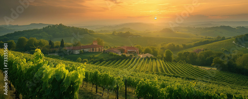 A serene rural landscape bathed in golden sunrise with lush green vineyards in the foreground and farm buildings in the distance