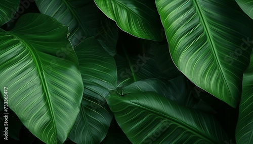 Green tropical leaf texture background