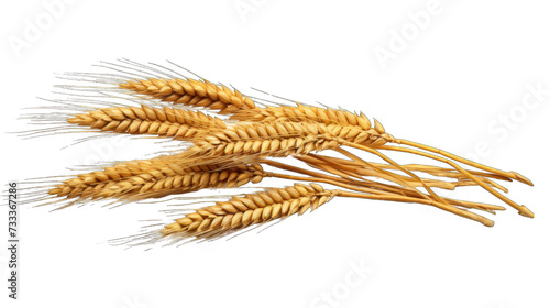 Wheat ears png