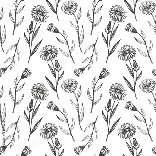 Calendula plant seamless pattern repeating background hand drawn medicinal daisy flower leaves Vector herbal engraved backdrop Botanical sketch for tea, organic cosmetic, medicine aromatherapy textile