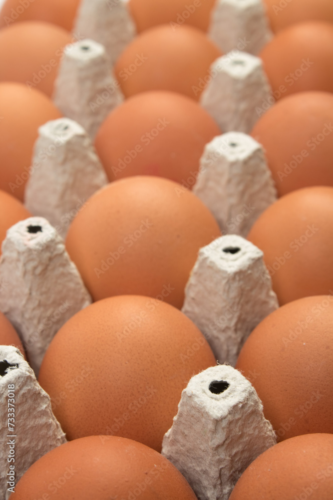 brown hen eggs in carton box isolated on white background. brown hen eggs in carton box isolated on white background.